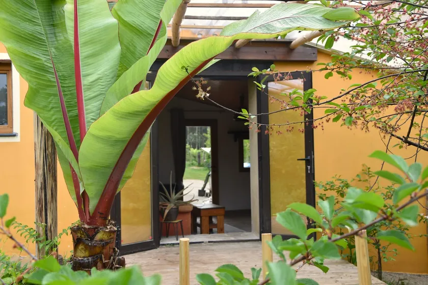Bodega with terrace and private entrance - Image 1