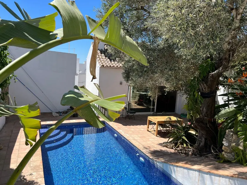 Casa del Olivo Viejo - Image 1