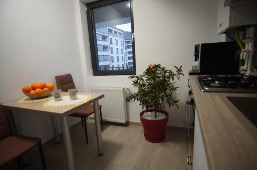 Carmen's nest - Image 1