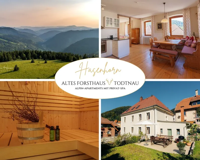 Old forester's lodge ”Hasenhorn” private sauna, Todtnau - Image 1