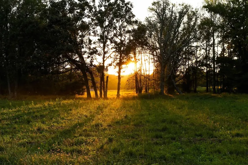 Quiet Country Home - Homestead Acres - Image 1