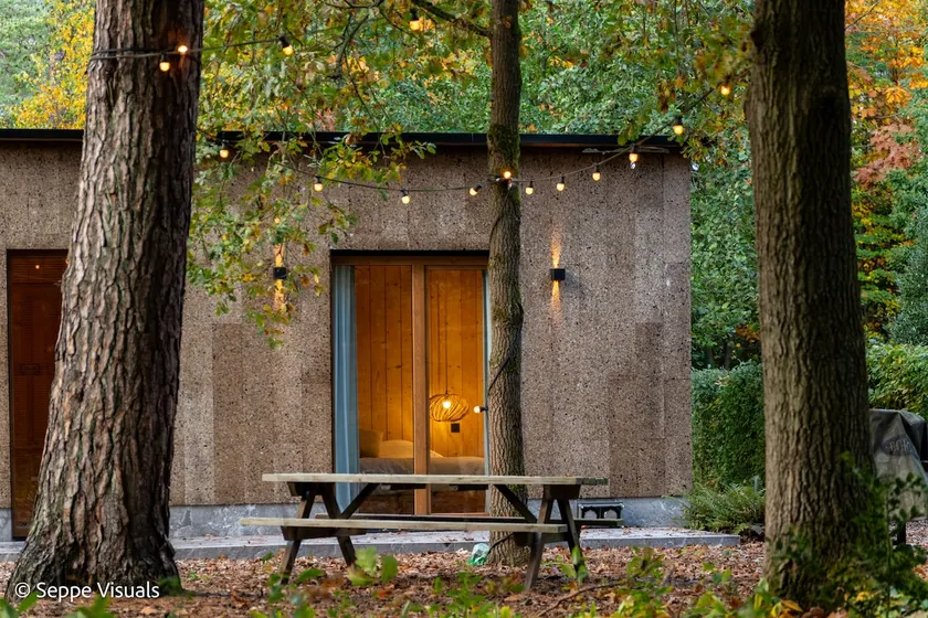 AWolf in a healthy NEW home : ) - Image 1
