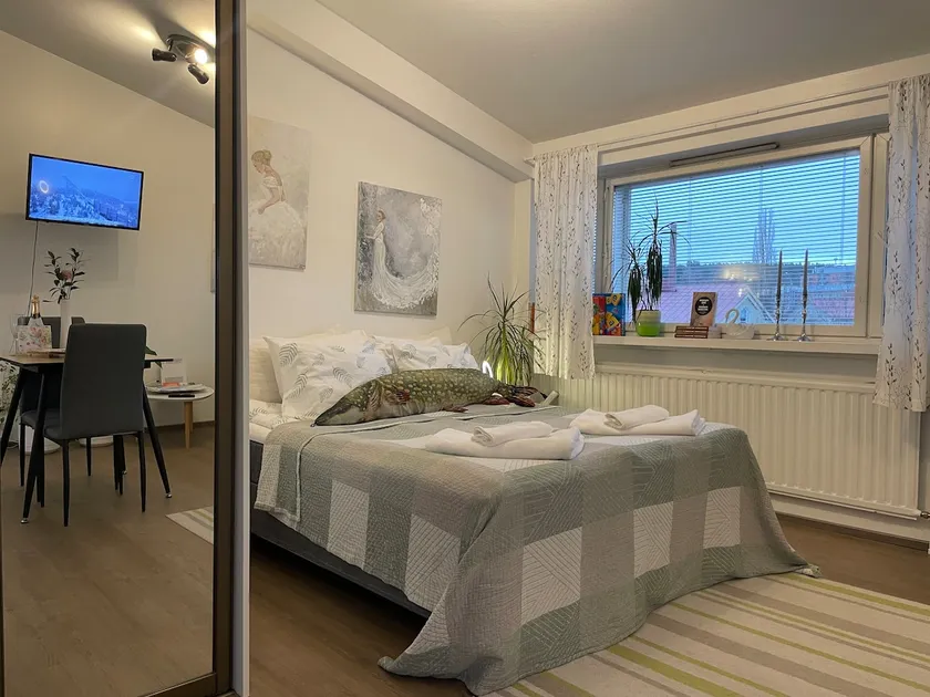 VesiLahti RoofLevel Apartment - Image 1