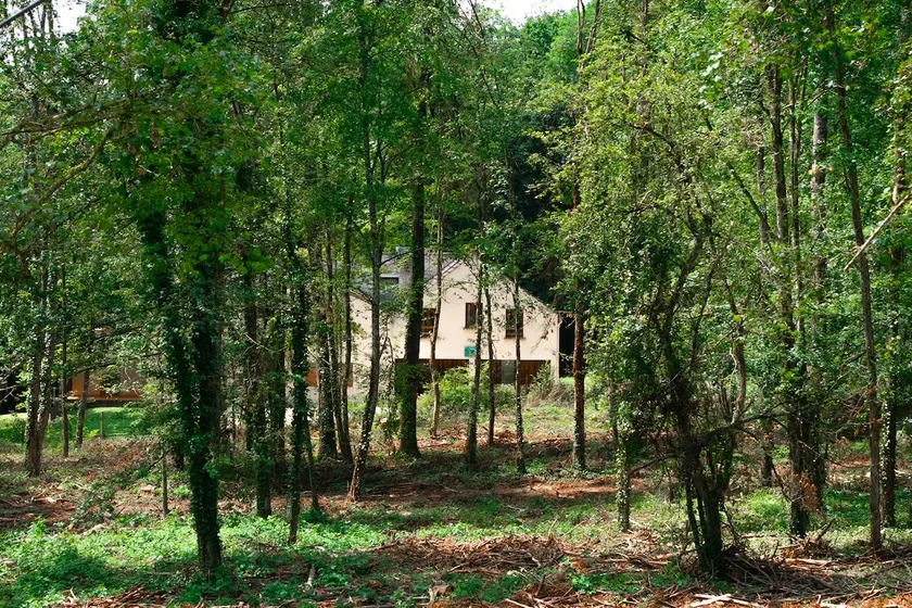 Domaine for 73 people • Disney 25 min • La Donaclaudré - Image 1