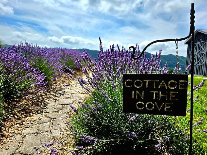 Cottage in the Cove - Image 1