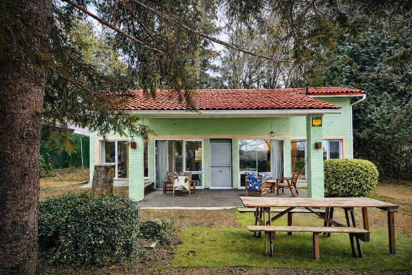 pinsapo - Image 1