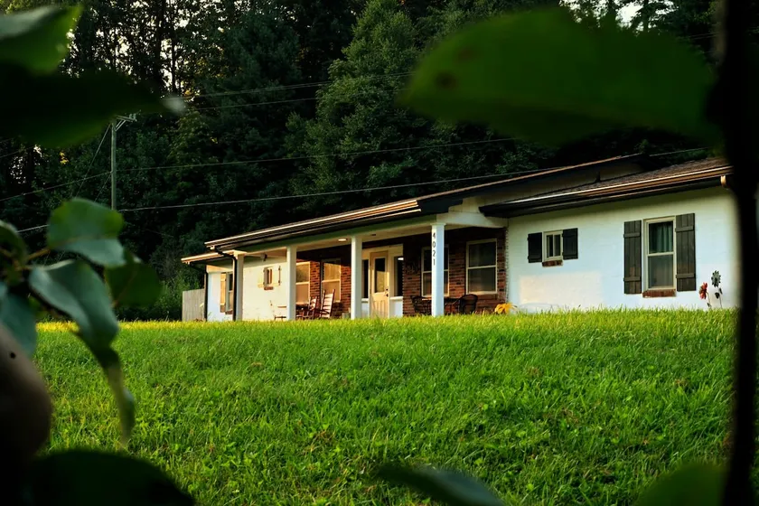 The Holler - Image 1