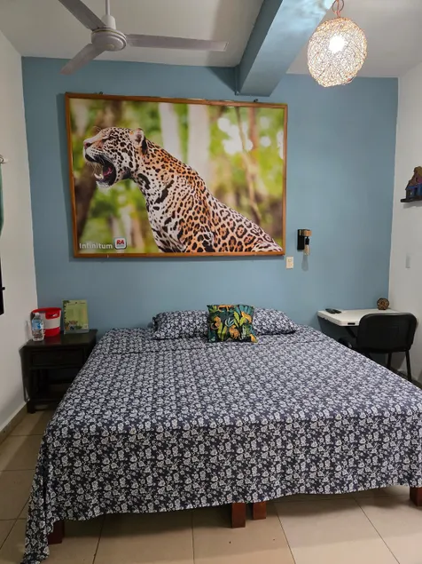 LoftJaguar - Image 1