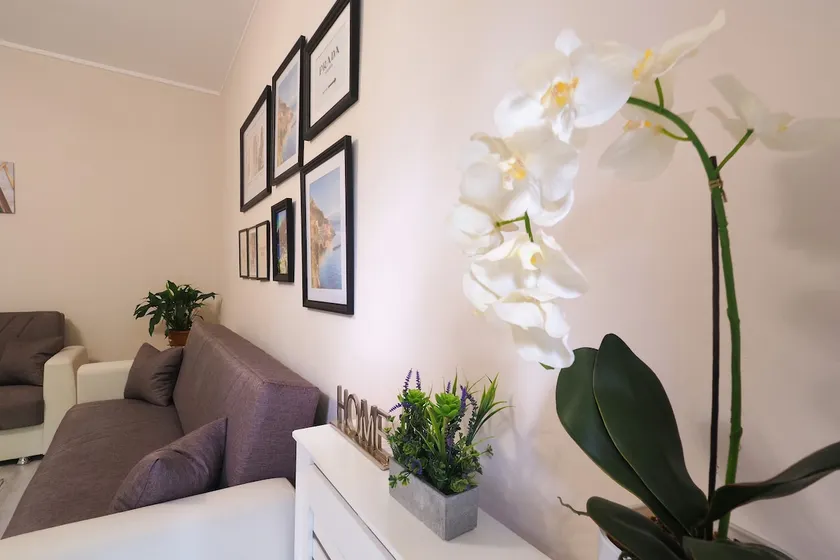 Melody's House - Image 1