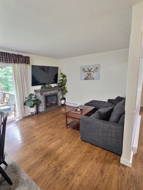 Cozy Tug Hill Outdoor Oasis - Image 1