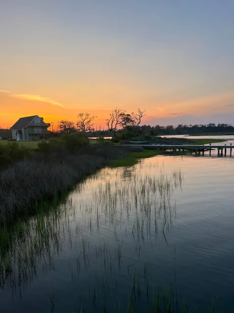 Blue Heron Shack - Image 1