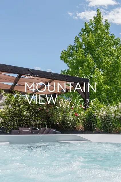 Mountain View Suite Lina Private Whirlpool - Image 1