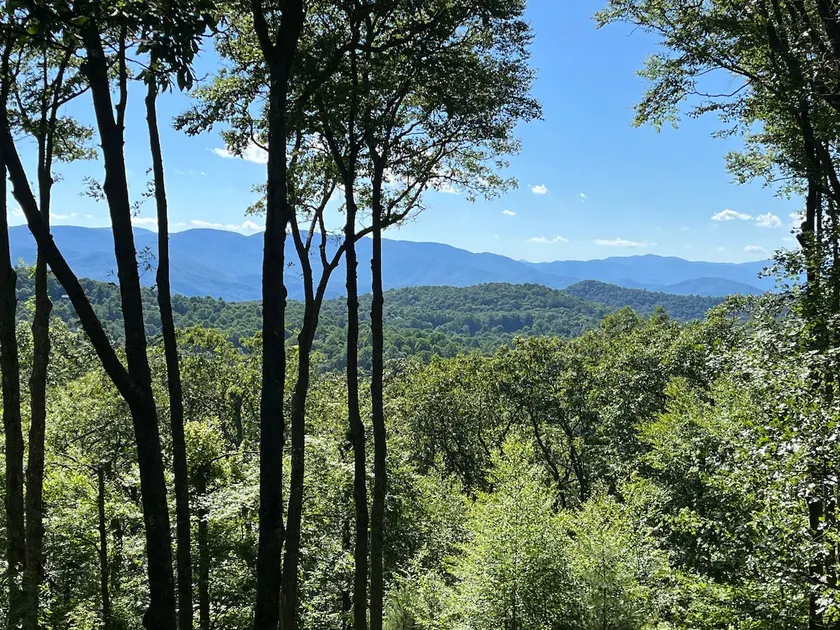 Duck Mountain Hideaway- Near Cashiers & Highlands - Image 1