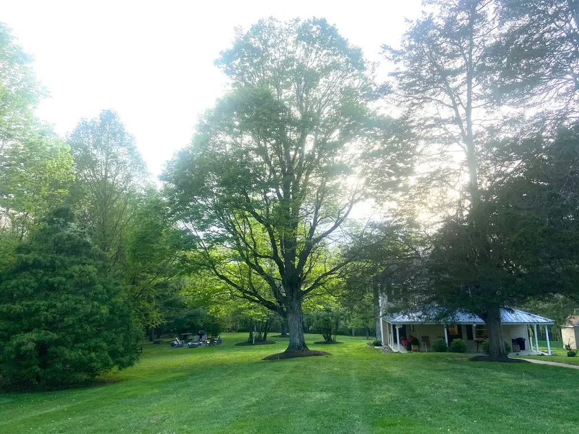 • Cozy Vintage Style Cottage • Campfire & Grill • - Image 1