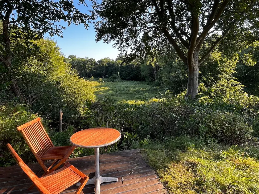 Sommerhaus mit Terrasse mit Blick auf die Natur - Image 1