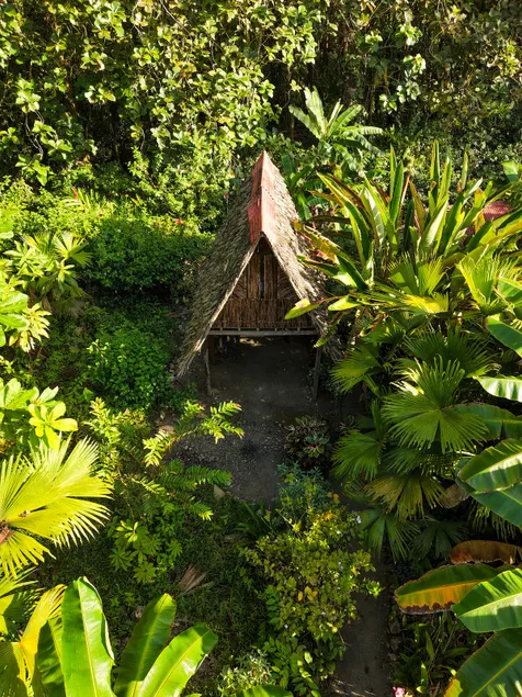 Chigua, Artisanal Cabin in the Jungle - Image 1