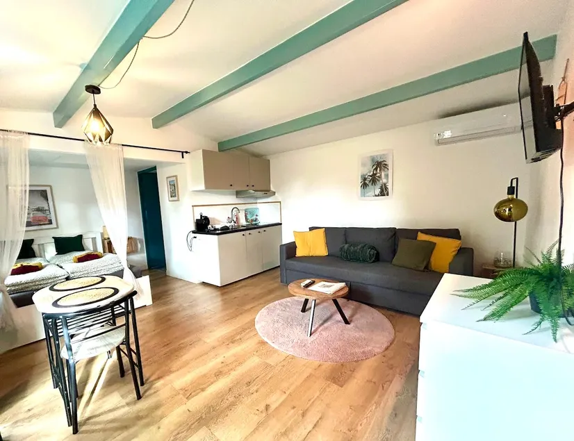 Beach house with jacuzzi near Amsterdam & Airport - Image 1