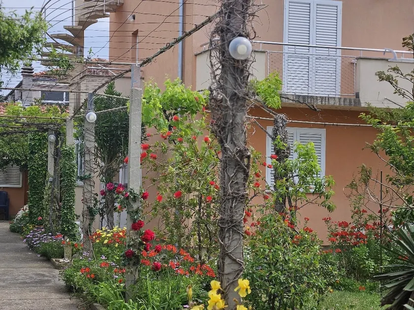 Apartments Amalia - Image 1
