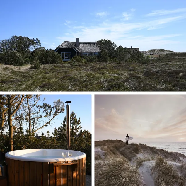 Idyllic summer house by the North Sea with spa - Image 1