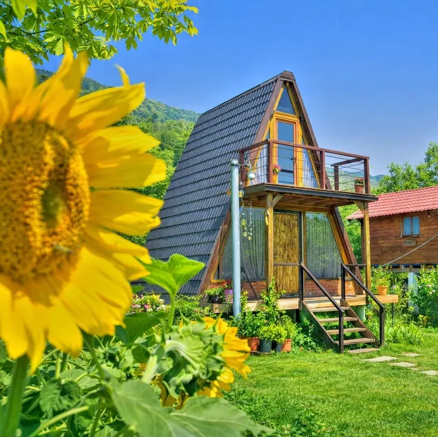 Life on the farm - Image 1