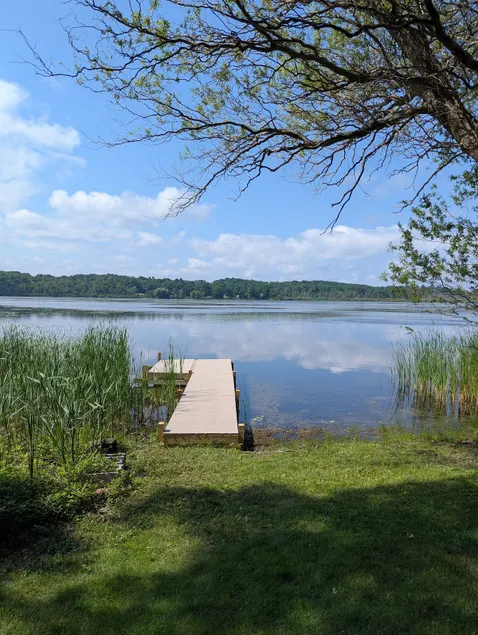 Reeds On Bar Lake - Image 1
