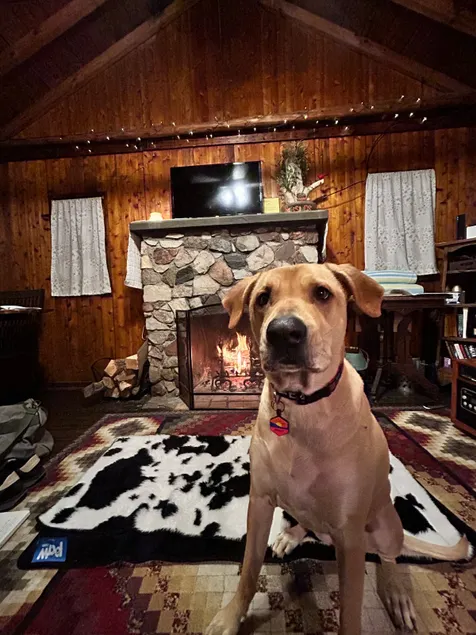 Cozy Cabin w/ Hot Tub (pet friendly)! - Image 1