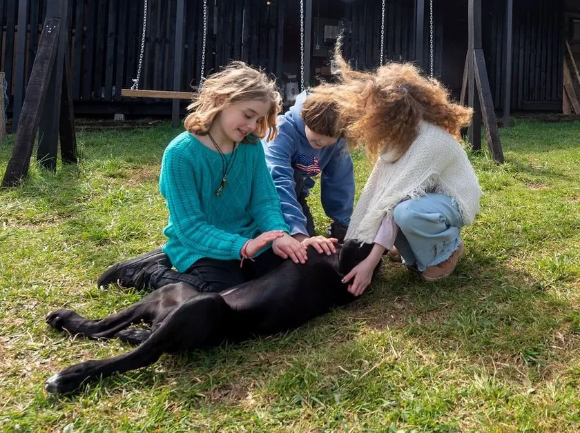 Family accommodation with children in Puerto Varas - Image 1