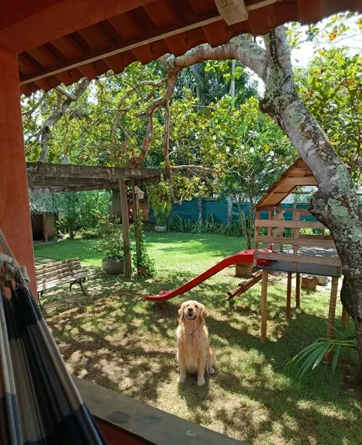Cíntia's Corner 2: Pet-Friendly Retreat - Image 1
