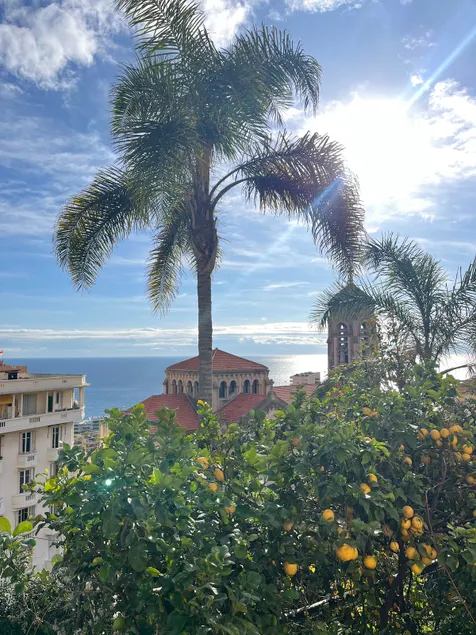 Cosy loft -5 min from Monaco By Elevator - Image 1