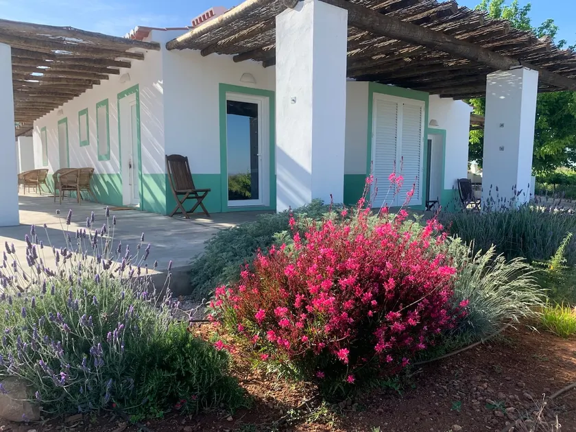 Fonte Freixo, em Borba, Alentejo - Image 1