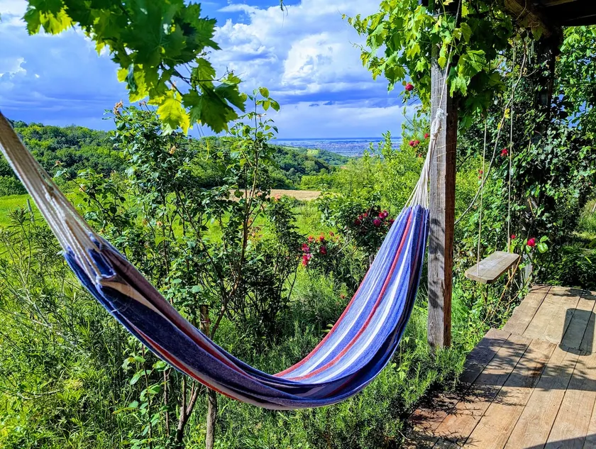 Viveka: Spiritual Retreat, Eco Cabin & Digital Detox - Image 1