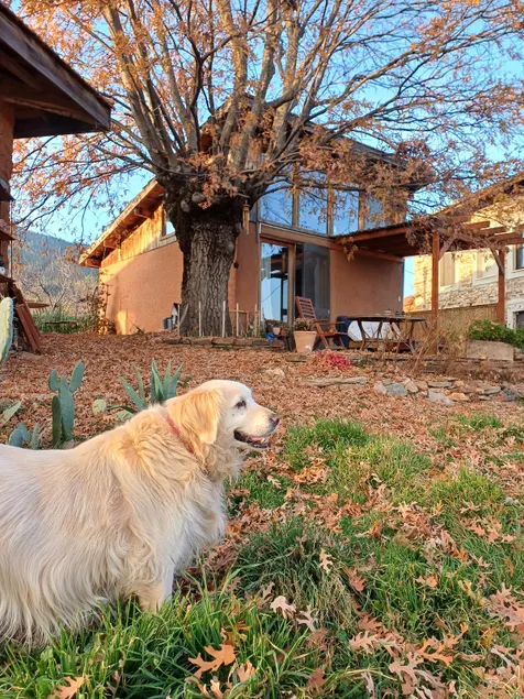 Marmaric Guesthouse - Image 1