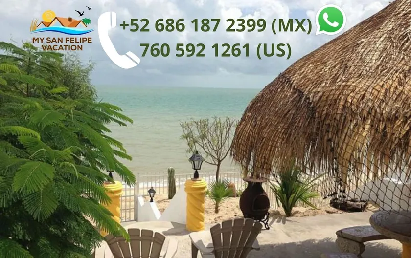 Casa Palmas: Beachfront Rental - Image 1