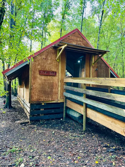 Nature's Getaway: Red Bird Camping Cabin - Image 1