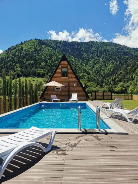 House Mtiani Borjomi With pool - Image 1