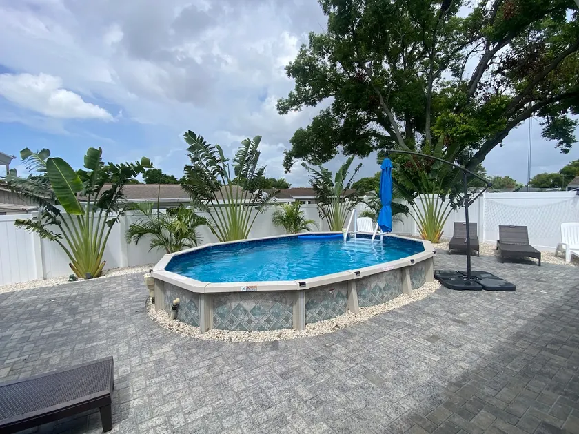 Blue Dolphin - Image 1
