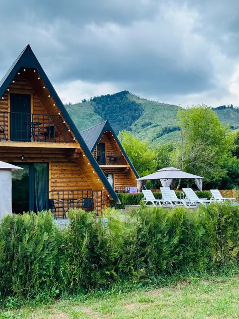 House Mziani Borjomi with pool - Image 1