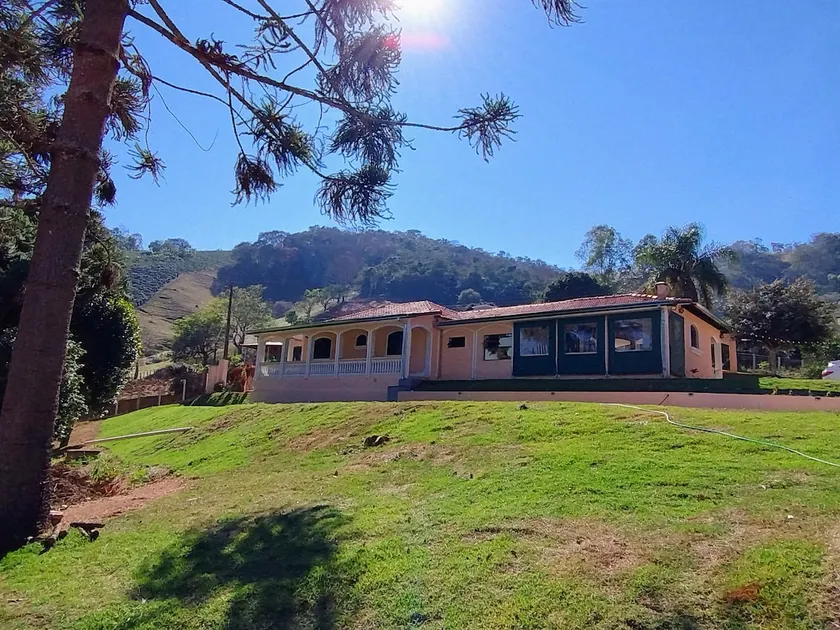 Araucárias do Pedrão Site - Image 1
