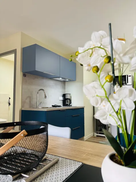 Hanami Apartment – Maulévrier, Cholet, Puy du Fou - Image 1