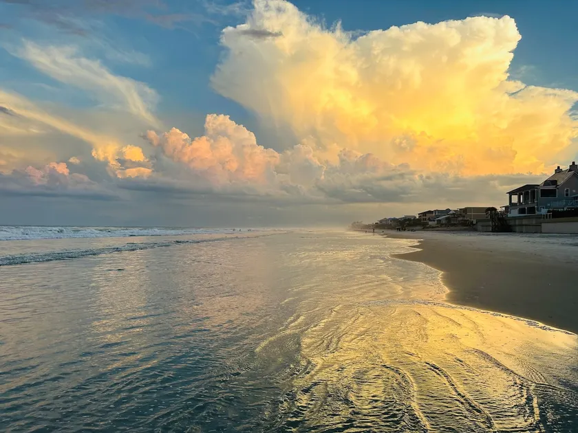 Best Super Comfy Stay ON NSB-Immaculate & 5 Stars ⭐️⭐️⭐️⭐️⭐️! - Image 1
