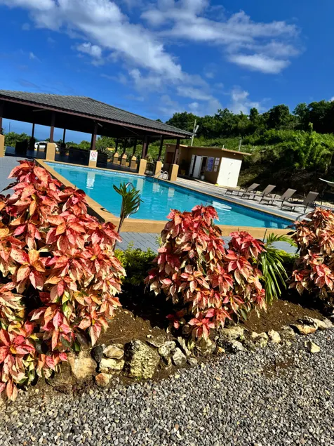 Sea Breeze Villa of Falmouth - Image 1