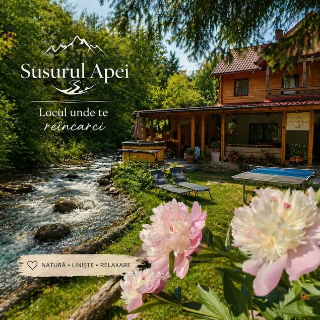 Susurul Apei Chalet - Image 1