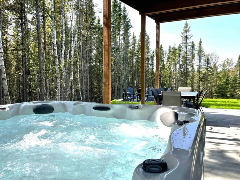 Chalet Alpaga 21: Sauna, Hot Tub & Forest Views - Image 1