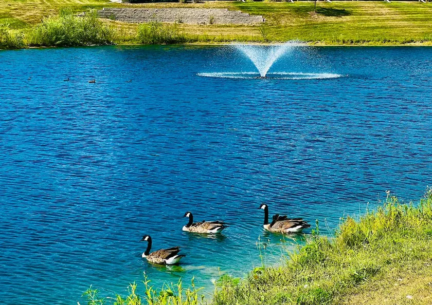 Iowa City Area Urban Oasis-Stylish, Quiet, Clean! - Image 1