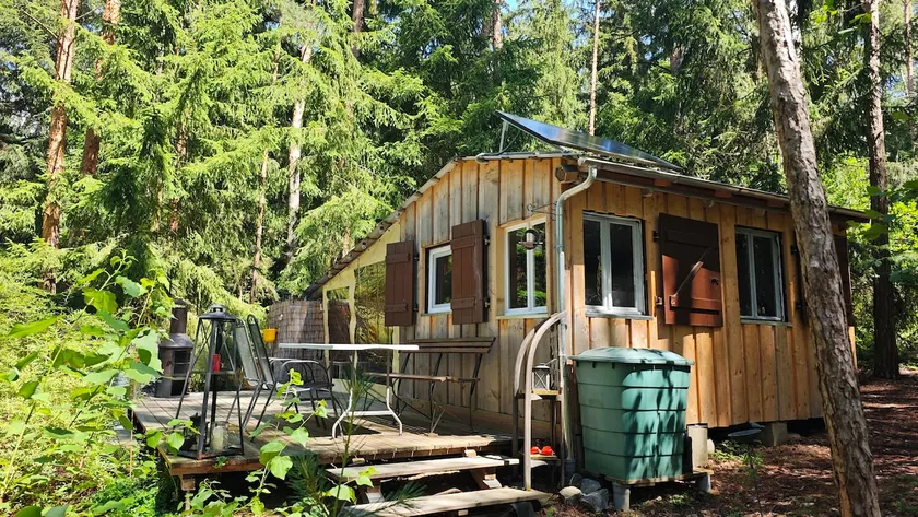 The Shack in the Forest - Image 1