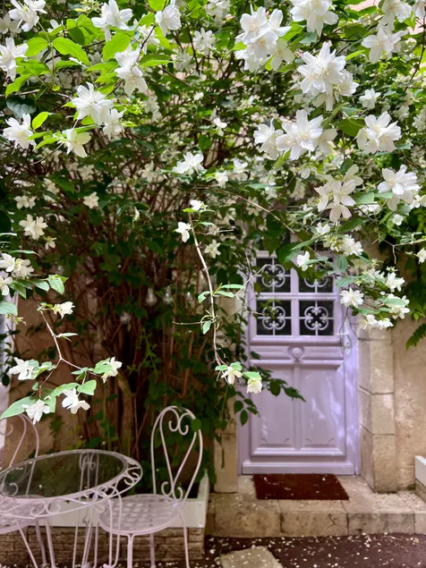 The Bohemian House - Image 1