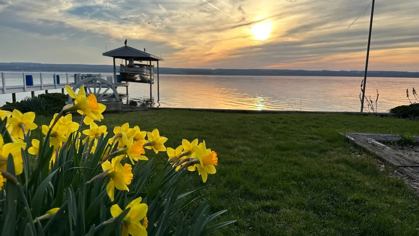 Seneca Lake Presents Walnut Creek Farm - Image 1
