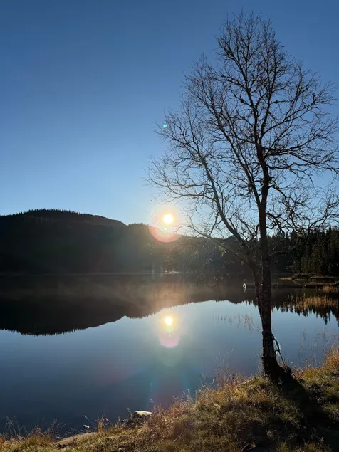 Såvebu - Image 1