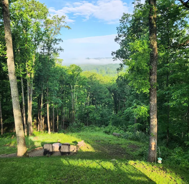 1bdrm Wooded Oasis - Image 1