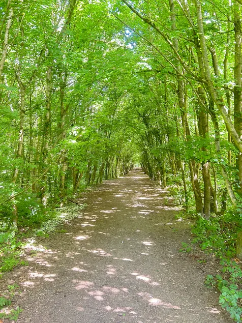 Guest Studio— next to Charming Woodland - Image 1